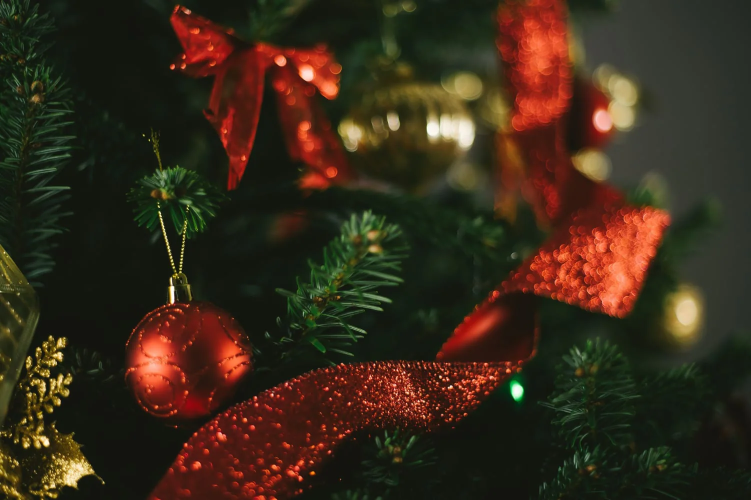 12ft Nordmann Fir Christmas Tree - Image 5