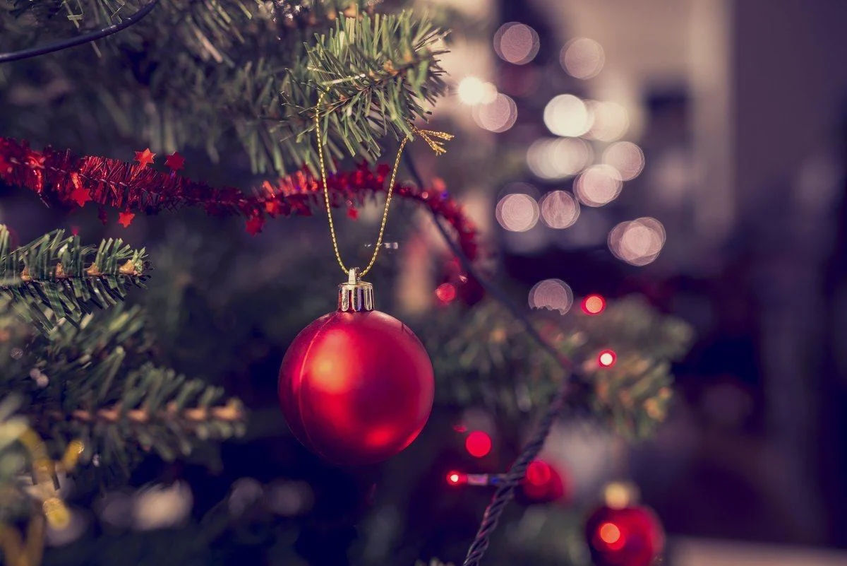 5ft Nordmann Fir Christmas Tree - Image 6